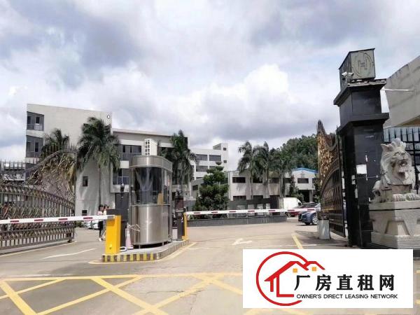 塘厦各类型村委厂房，原房东厂房，500起分组，10元起