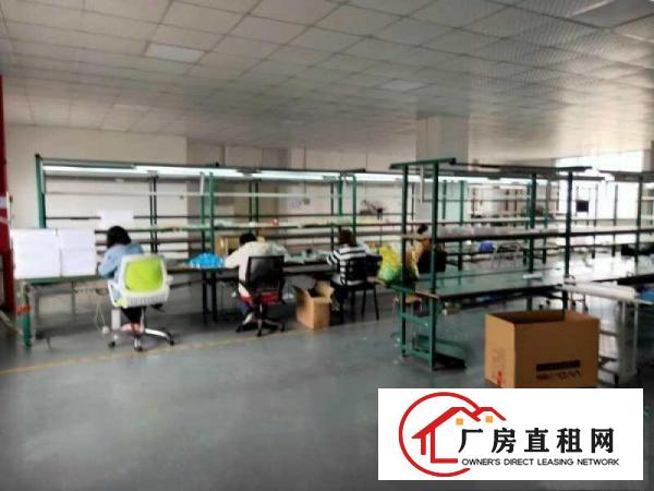  塘厦各类型村委厂房，原房东厂房，500起分组，10元起