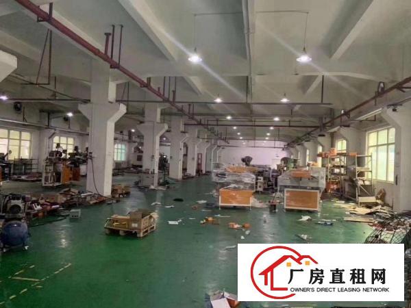  塘厦各类型村委厂房，原房东厂房，500起分组，10元起