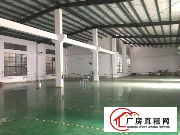  塘厦各类型村委厂房，原房东厂房，500起分组，10元起
