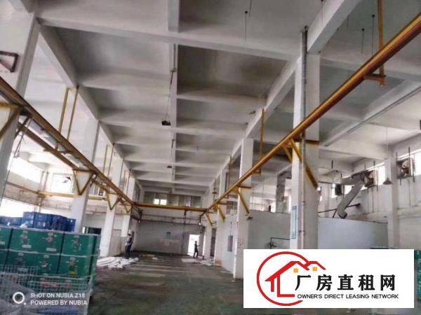  凤岗镇原房东标准一楼7米高2200平方米出租