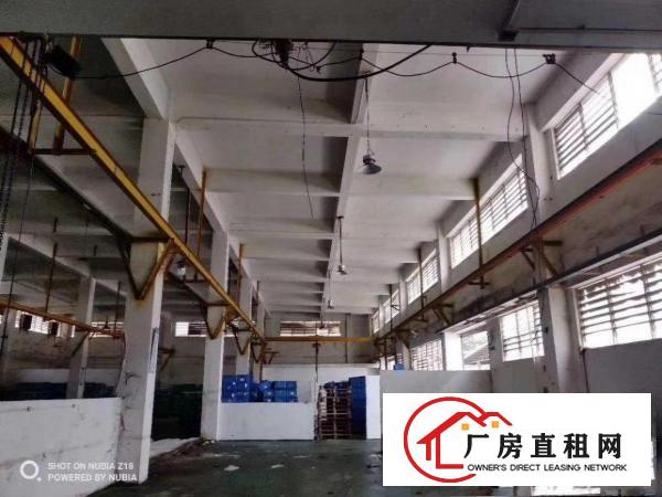  凤岗镇原房东标准一楼7米高2200平方米出租
