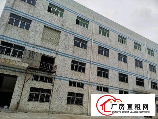  原房东独院厂房整租出租