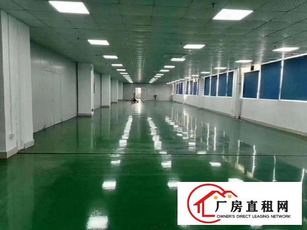  凤岗雁田原房东全新无尘车间5600平直租