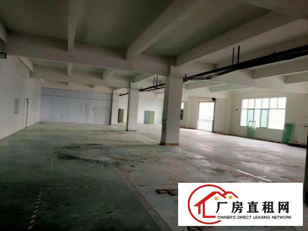  凤岗镇金凤凰工业区新出一二楼各1260平方厂房
