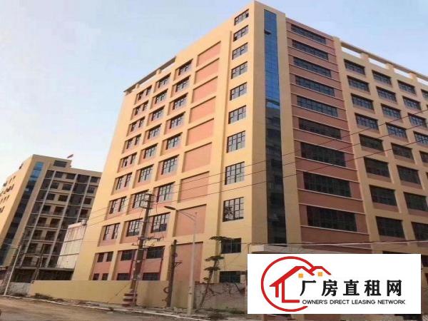  凤岗近龙岗业主自建全新厂房招租大小分租