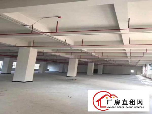  凤岗近龙岗业主自建全新厂房招租大小分租