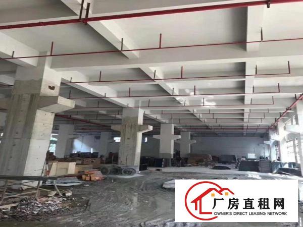  凤岗近龙岗业主自建全新厂房招租大小分租
