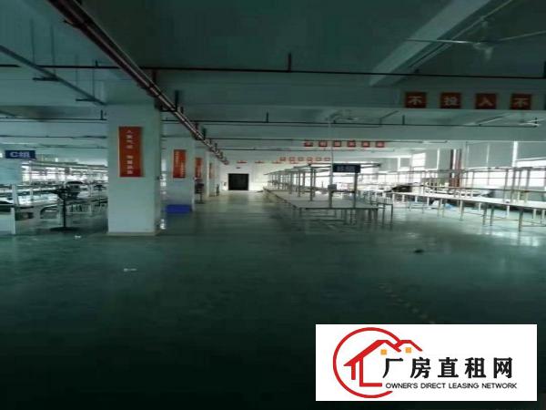  凤岗镇金凤凰惊现豪华装修水电现成无转让费厂房出租