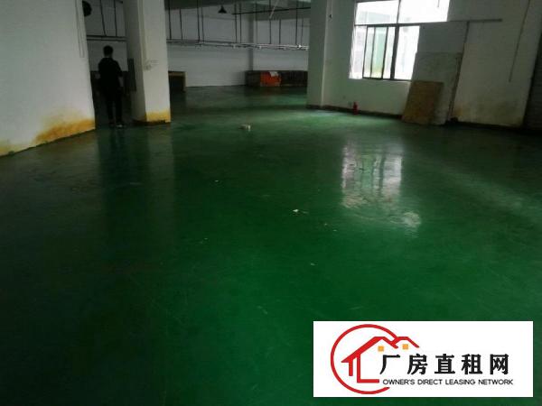  凤岗镇金凤凰惊现豪华装修水电现成无转让费厂房出租