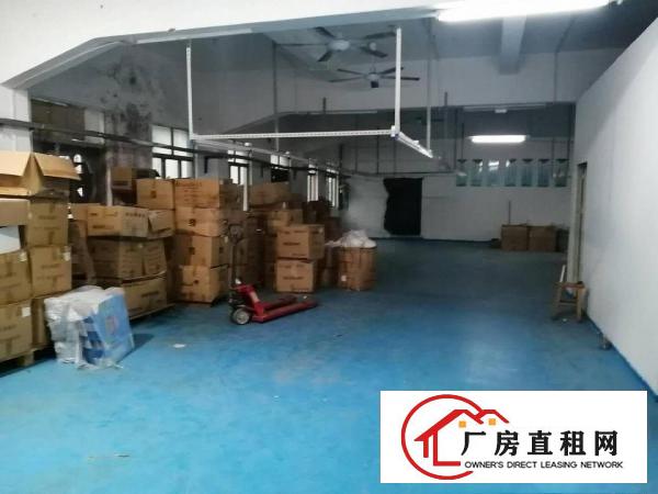  凤岗镇油甘埔惊现现成装修带办公室厂房出租