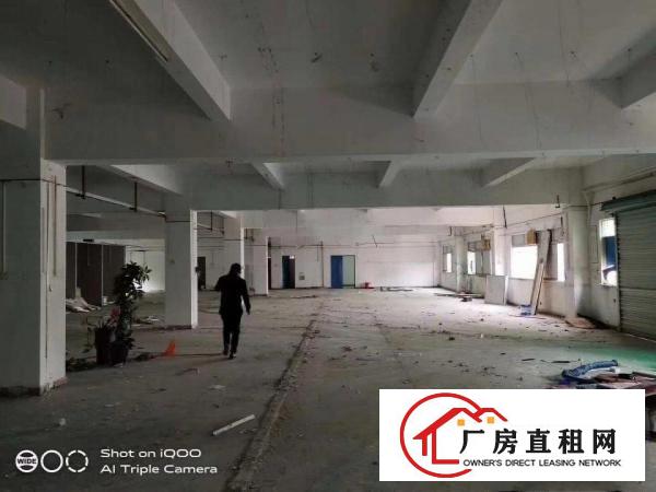  凤岗雁田村新出独门独院厂房
