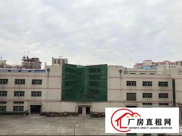  凤岗金凤凰工业区独院出租