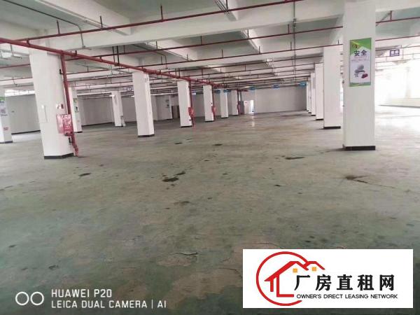  凤岗碧湖大道边九成新重工业楼上厂房出租