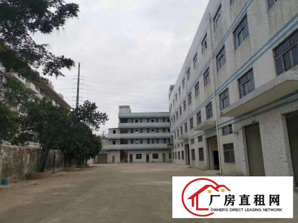  凤岗官井头原房东独门独院出租