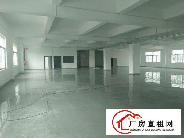  东莞凤岗新出原房东红本厂房3000平，大小可分租。