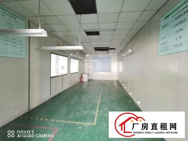  消防环保合格！雁田带红本5000方原房东独院厂房带精装修出租