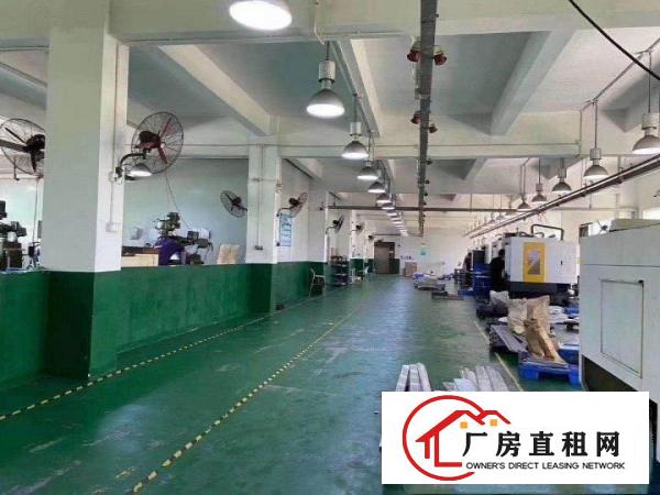  凤岗雁田一手厂房出租