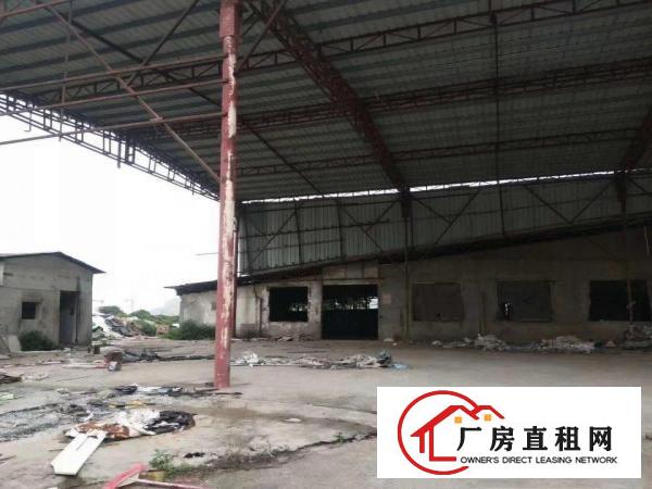  雁田独门独院单一层钢构出租
