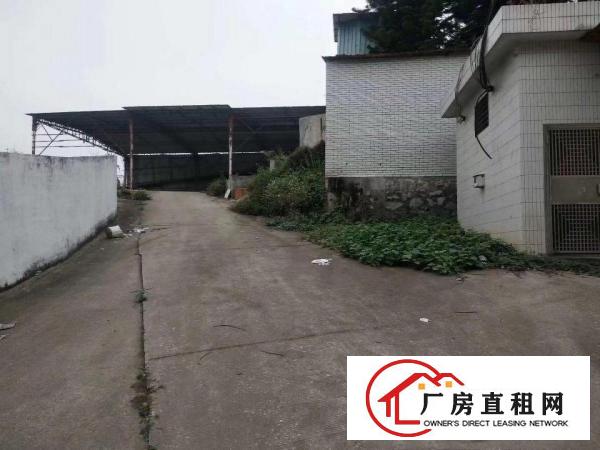  雁田独门独院单一层钢构出租