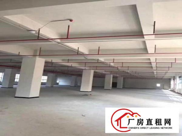  凤岗近深圳龙岗业主自建红本厂房招租