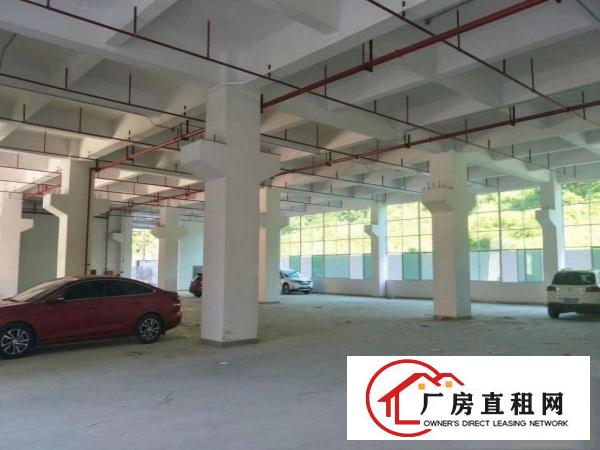  凤岗近深圳龙岗业主自建红本厂房招租