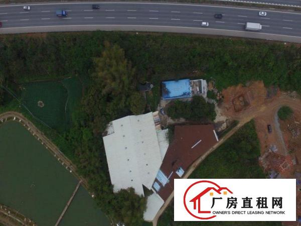  厂房和厂房后绿地养鸡养鸭