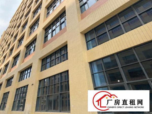  新厂房出租临近深圳招工方便环境优美