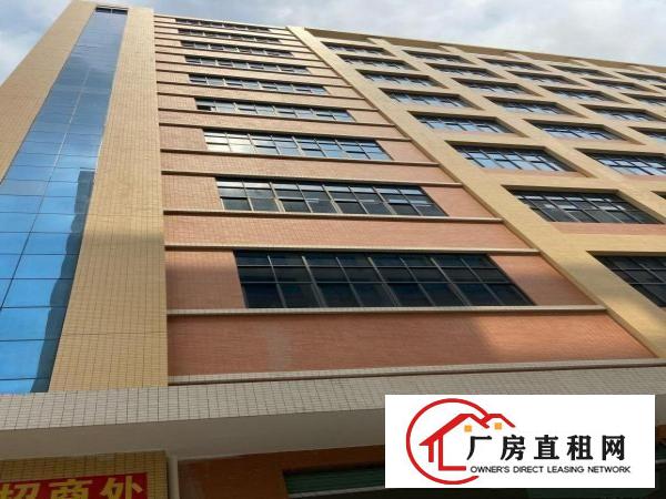  新厂房出租临近深圳招工方便环境优美