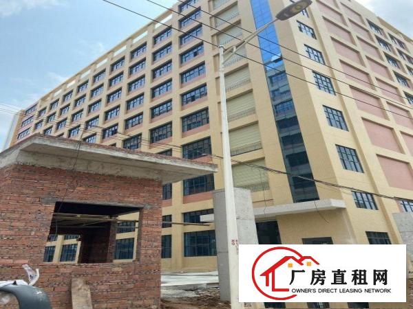  新厂房出租临近深圳招工方便环境优美