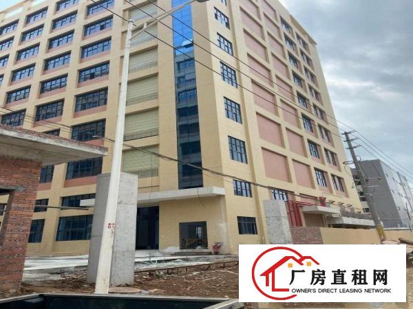  新厂房出租临近深圳招工方便环境优美