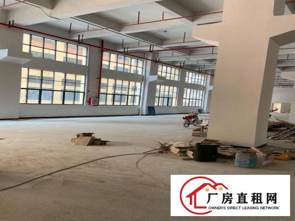  新厂房出租临近深圳招工方便环境优美