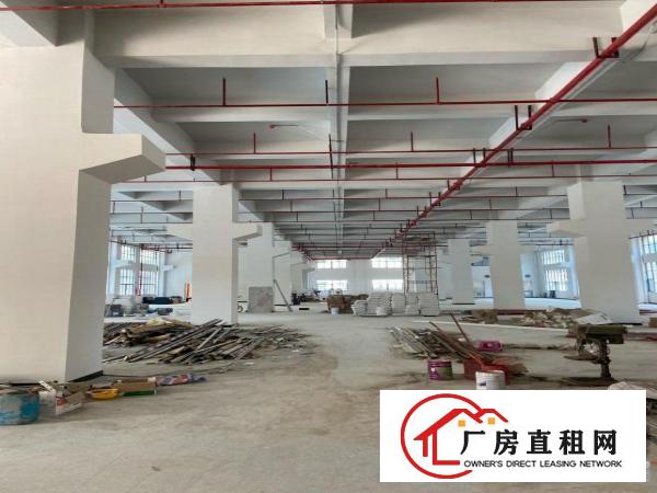 新厂房出租临近深圳招工方便环境优美