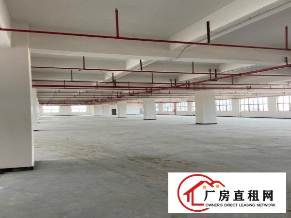  新厂房出租临近深圳招工方便环境优美