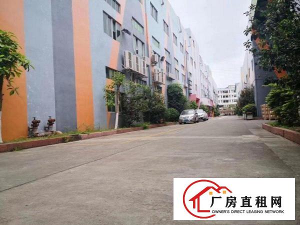  凤岗镇汽车站附近新出红本厂房招租