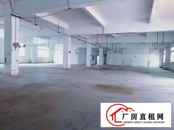  豪华装修水电齐全价格优惠