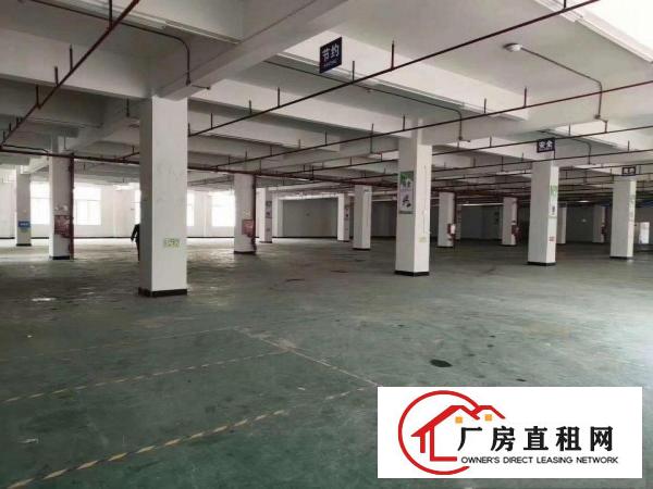  凤岗镇靓盘出租3900平米有现成装修
