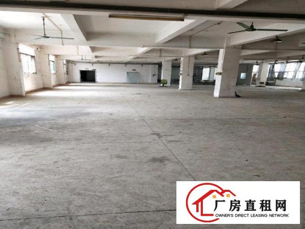  凤岗天堂围二楼800平方标准厂房分租