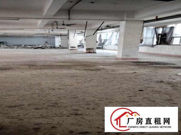  凤岗天堂围二楼800平方标准厂房分租