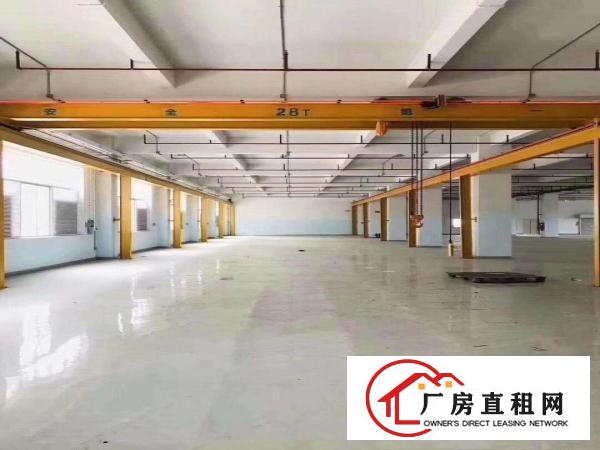  凤岗镇临深工业园厂房出租