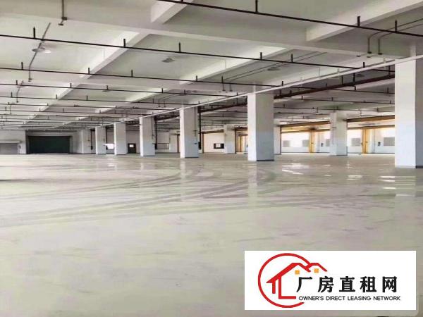  凤岗镇临深工业园厂房出租