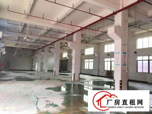  现成装修全新地坪漆凤岗五联工业区一二楼各900平厂房出租