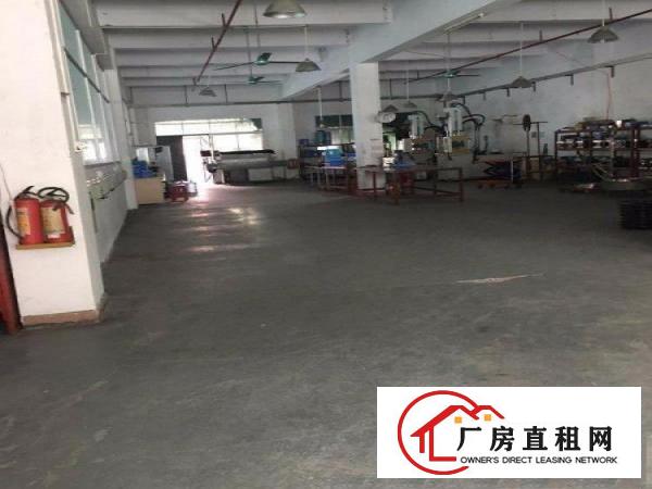  行业：无限制，位置：凤岗大路边，3800平方米独院厂房出租