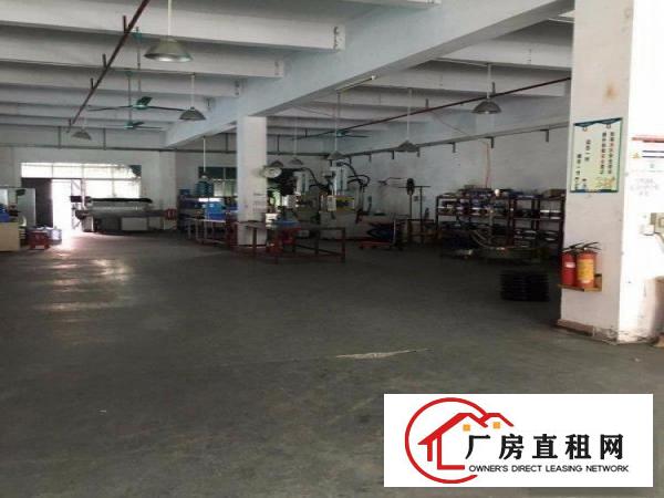  行业：无限制，位置：凤岗大路边，3800平方米独院厂房出租