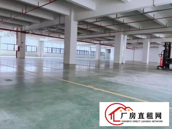  凤岗镇五联全新厂房招租