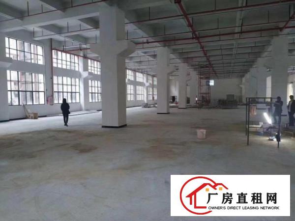 凤岗镇3万平方厂房出租，200平方分租价格好谈