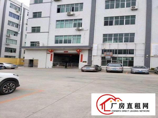  标准一楼出租凤岗标准一楼带牛角