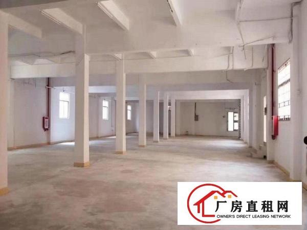  凤岗凤深大道7000平方原房东独院厂房，可办环评，招工出行易