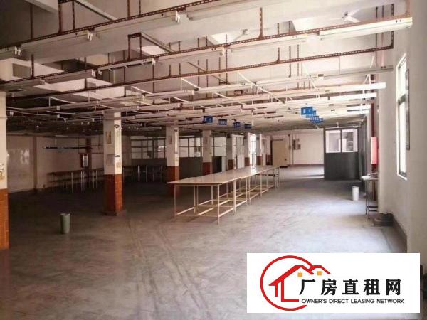 凤岗凤深大道7000平方原房东独院厂房，可办环评，招工出行易