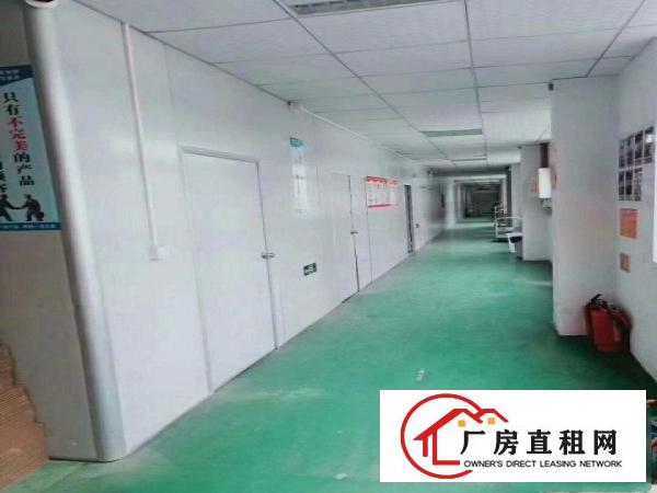  原房东无尘车间带现成办公室租金便宜无尘车间厂房出租可分租
